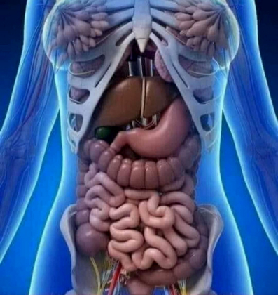 Ung thư chẳng có gì đáng sợ